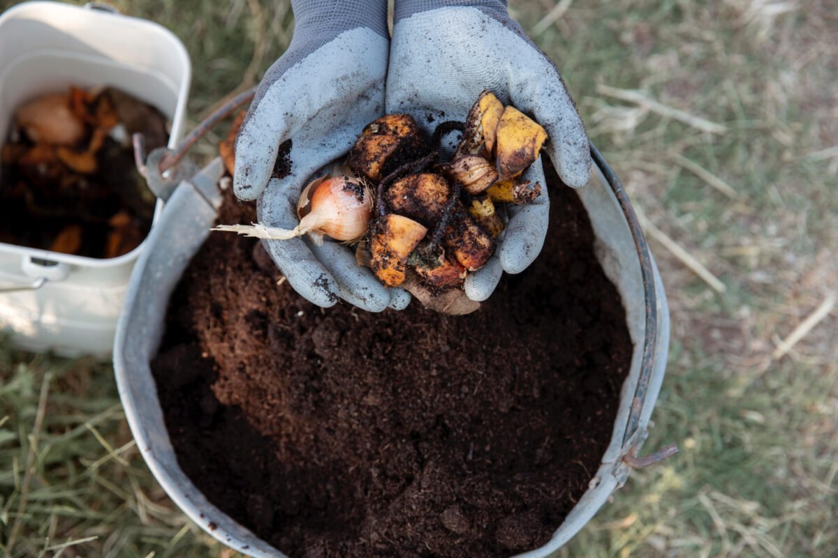 compost-still-life-concept