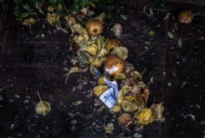 Composting Problems