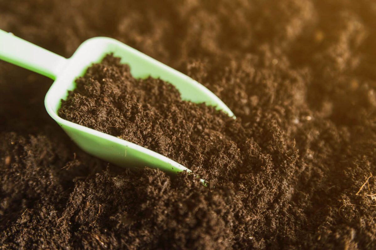 Vermicompost