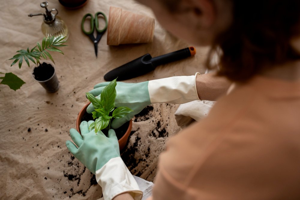 apartment-composting-tips