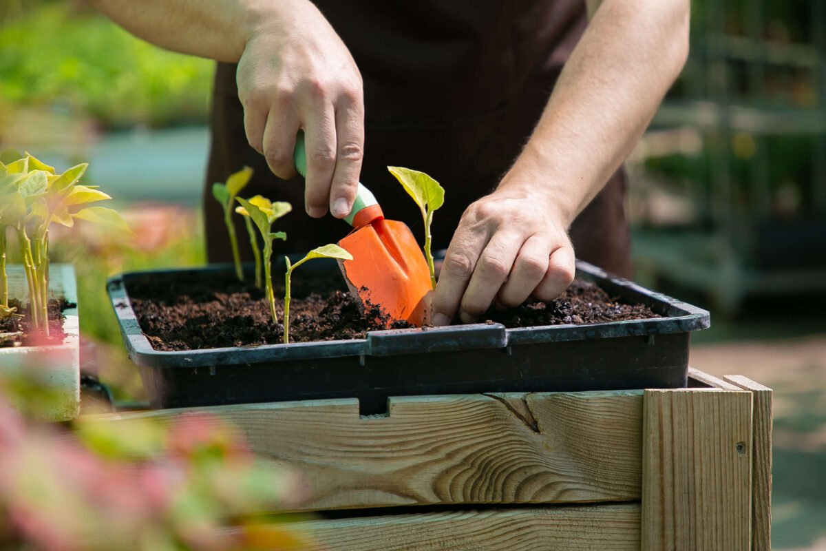 container-gardening