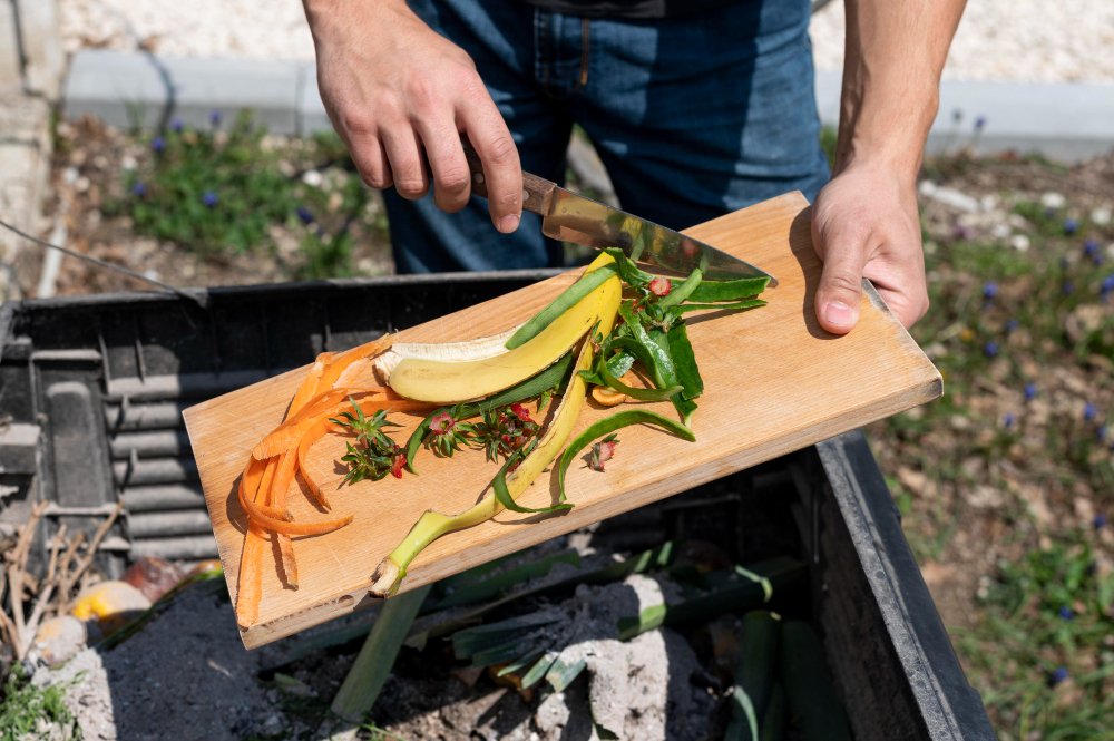 the-psychology-of-food-waste