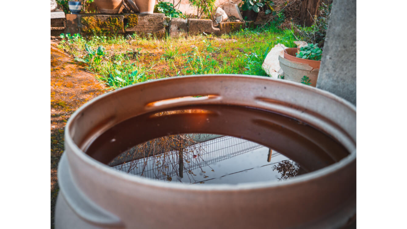 Rainwater Harvesting for Gardening