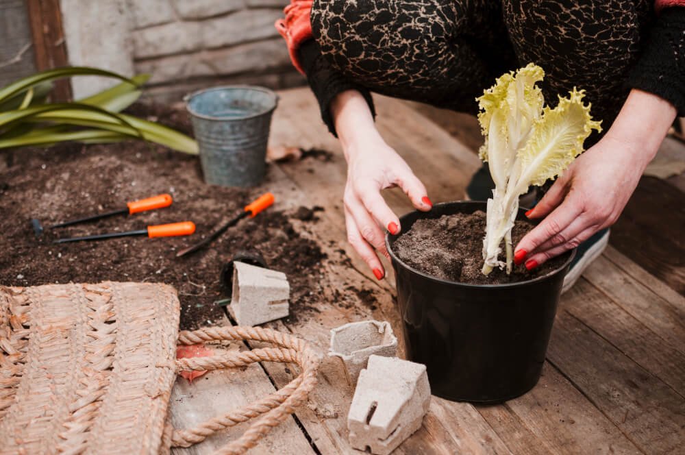 diy garden projects