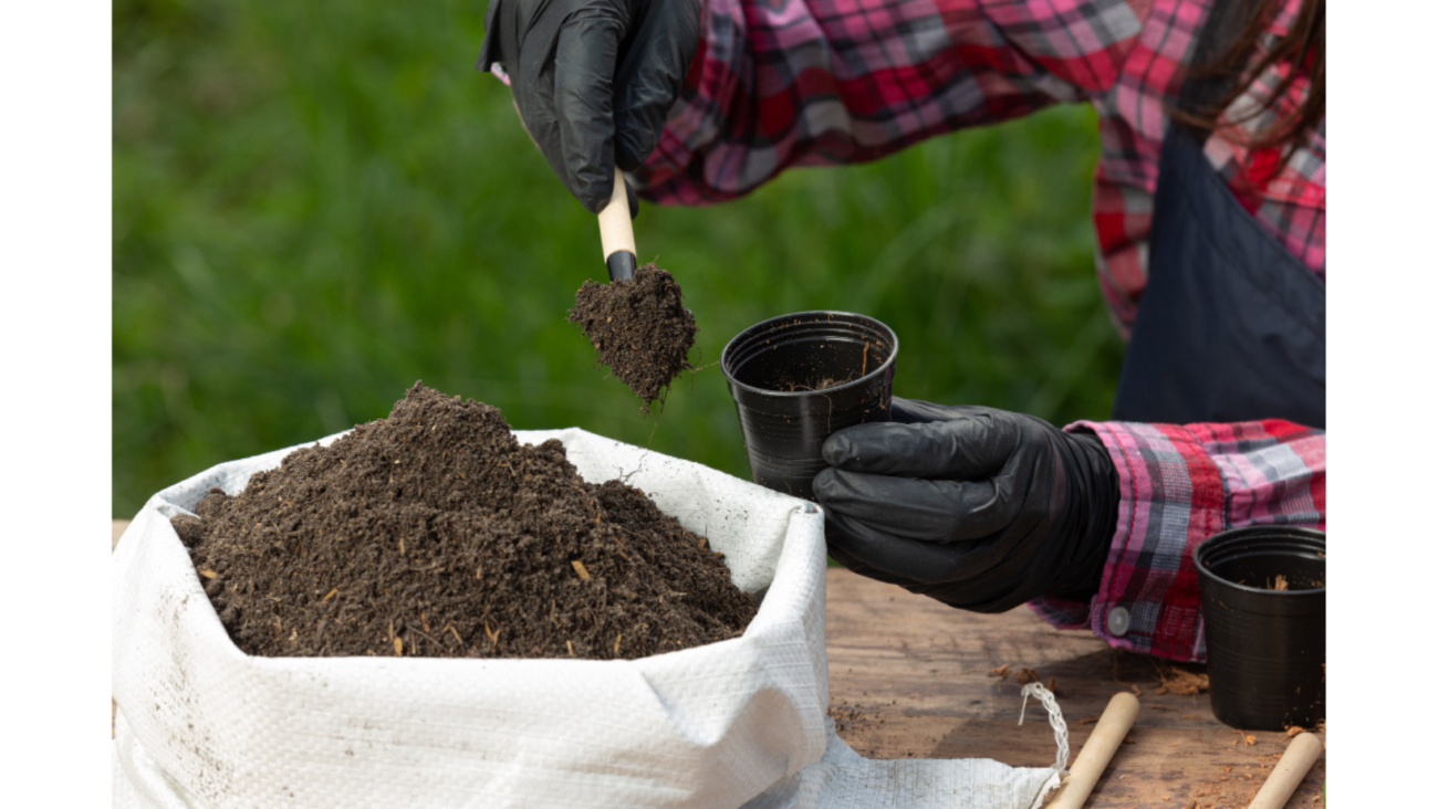 The Benefits of Mulching