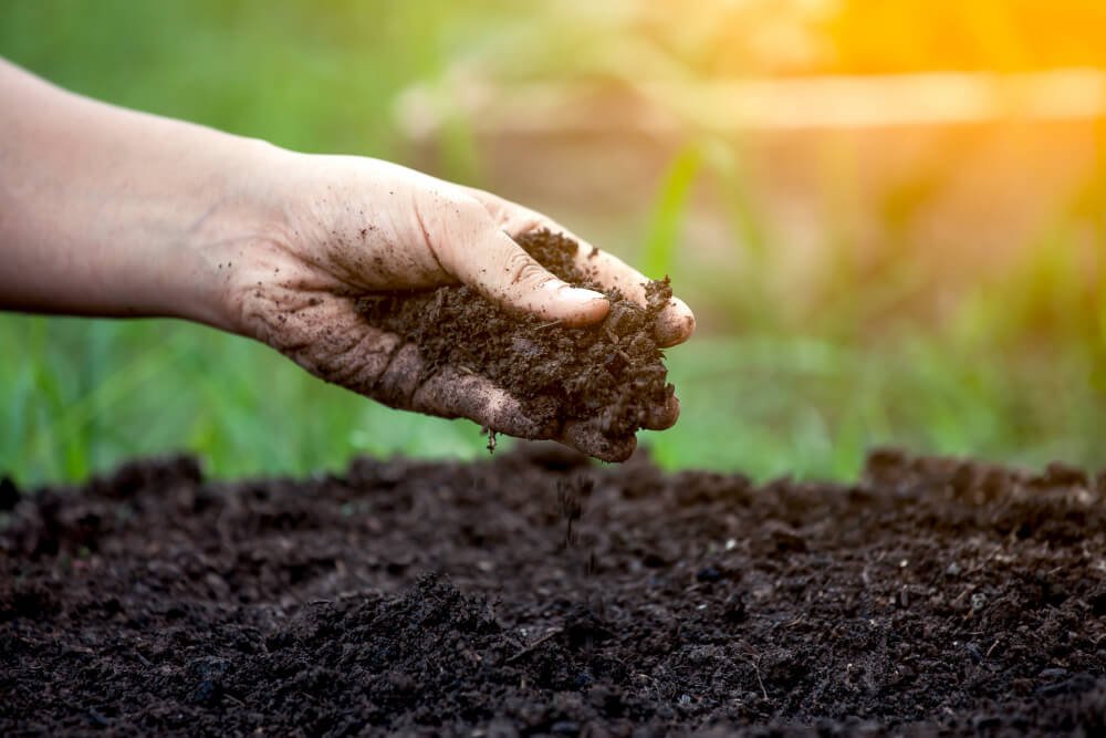 importance of soil health