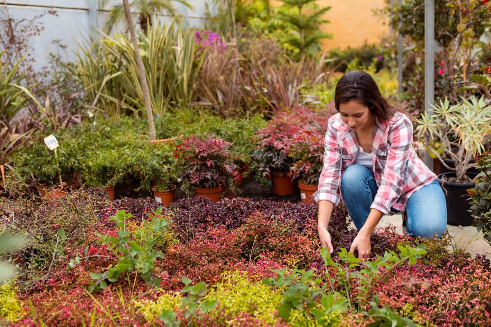 Edible landscaping