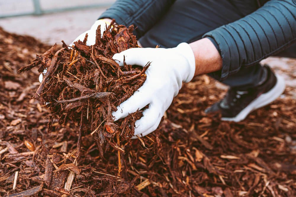 wood chip mulch